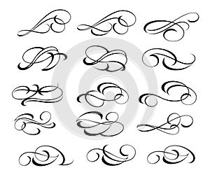 Calligraphic elegant elements of design.Vector