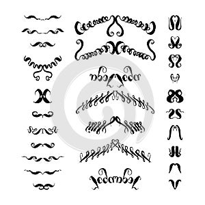 Calligraphic elements, text dividers set. Monochrome vector hand drawn