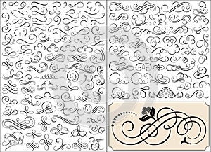 Calligraphic scroll ornament design elements vector set