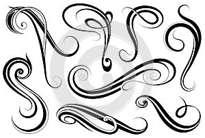 Calligraphic swirls set photo