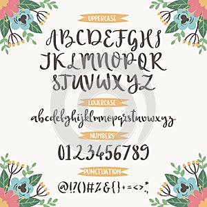 Calligraphic vector font with floral nature numbers ampersand and symbols flower hand drawn alphabet lettering