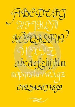 Calligraphic vector script font. Handwritten brush style modern