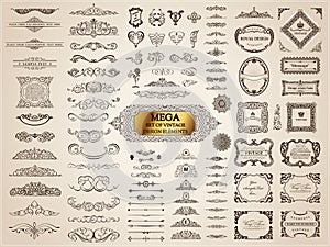 Calligraphic vintage elements. Vector baroque set. Design icons