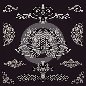 Calligraphic vintage elements. Vector baroque set. Design icons