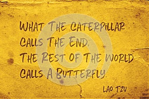 Calls a butterfly Lao Tzu