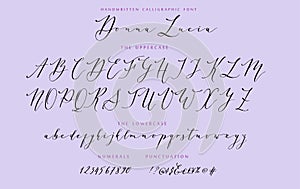 Hand drawn callygraphic font vector alphabet set photo