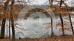 Calm ake through autumn trees