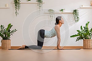 Calm of Athletic Asian woman in sportwear practice yoga Cat Cow pose to breathing and meditation at home,Healthy woman doing yoga