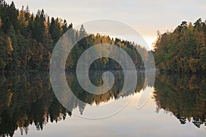 Calm autumn forest lake reflection