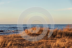 Calm Baltic sea background in golden hour