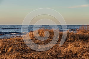 Calm Baltic sea seashore beach background in golden hour