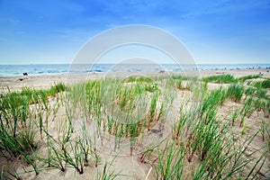 Calm beach with dunes and green grass