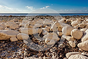 Calm beach full of rocks