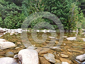 A calm bend of the South Fork River near Wallace, Idaho. You can feel the coolness of the water simply by looking