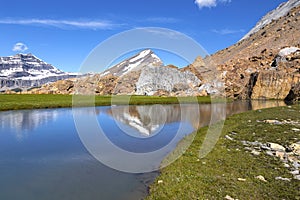 Calm Blue Brazeau River Watershed Green Alpine Meadow Canadian Rocky Mountains Summertime Sunshine Hiking