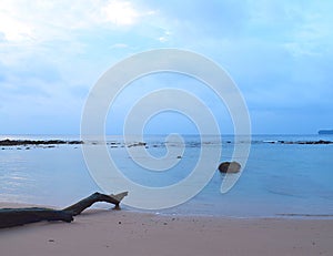 Calm Blue Sea Water at Peaceful Beach with Wood Log on Shore on Overcast Day - Sitapur, Neil Island, Andaman, India