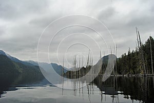 A calm day on Great Central Lake near Port Alberni, Vancouver Island, BC, Canada