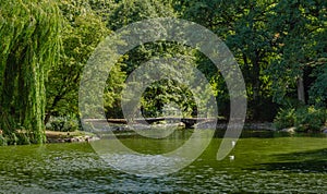 A calm day in Slottsparken, a public park, in the city center of MalmÃ¶, Sweden. A bridge crosses the green water