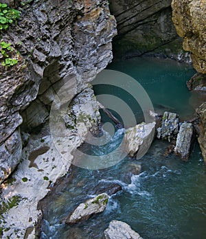 Calm and deep place of the mountain river