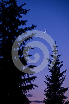 A calm evening scene in the mountains with a crescent moon against a blue and purple sky