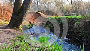 A calm flow of the Ramenka rivulet. Energizing spring sunlight awakens nature.