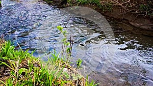 A calm flow of the Ramenka rivulet. Energizing spring sunlight awakens nature.