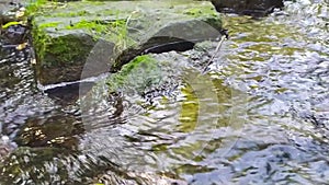 Calm flowing water stream over rocks through idyllic green nature with clear water in summer time. Green river banks