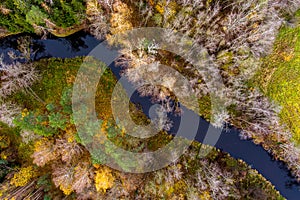 Calm forest river Aerial top down view from drone, late autumn with little foliage on trees