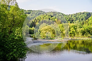 Calm green spring lake with lots of life