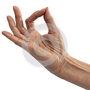 Calm Hand Gesture 3D Illustration