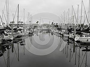 Calm harbor