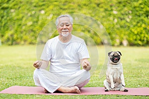 Calm of Healthy Asian Elderly man with white hairs doing yoga lotus pose for meditation with dog pug breed on green grass at park,