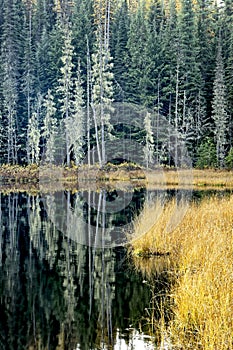 Calm Huff Lake in Idaho photo