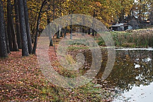 Calm lake and abandoned house in autumn forest. River bank with trees with yellow foliage. Nature tranquility.