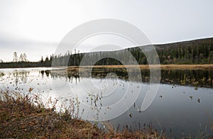Calm lake in early autum in the northern of dalarna, sweden photo