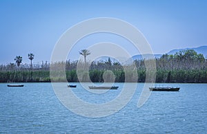 Calm lake with fishing boats. Fresh water lagoon in Estany de cullera. Valencia, Spain