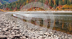 Calm lake with low water - round stones at shore visible, autumn coloured coniferous trees on other side