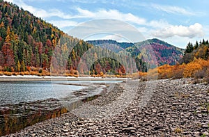 Calm lake with low water - round stones at shore visible, autumn coloured coniferous trees on other side, blue sky above