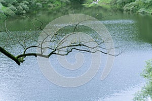 Calm lake in Lushan Mountain, China.