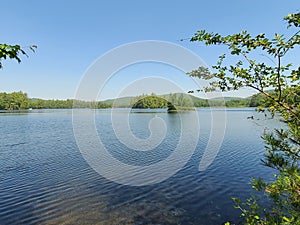 Calm lake in Maine