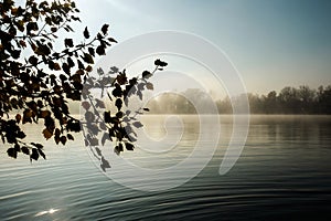 Calm autumn lake in a morning mist