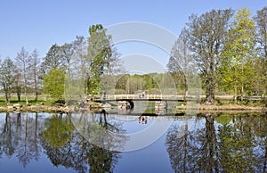 Calm lake reflection