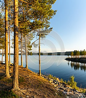 Calm lake with small island and golden sunset evening light on the trees and forest on the lakeshore in the foreground