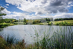 Calm lake during summers day