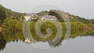 The calm lake surface, the dense willow forest