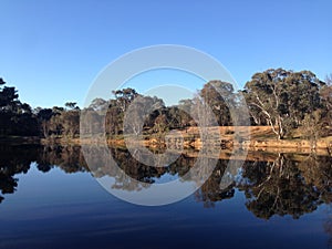 Calm lake with trees and reflections in Australia