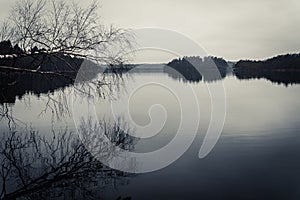 Calm lake water with a broken birch tree above it