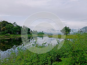 calm lake water sorounded by vegetation