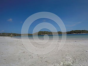 Calm landscape with an empty beach and a wonderful blue sky, a summer day and a calm sea with green vegetation, typical of a photo