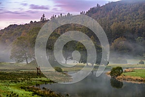 Calm Misty Morning At Dawn By The River In The Lake District, UK.